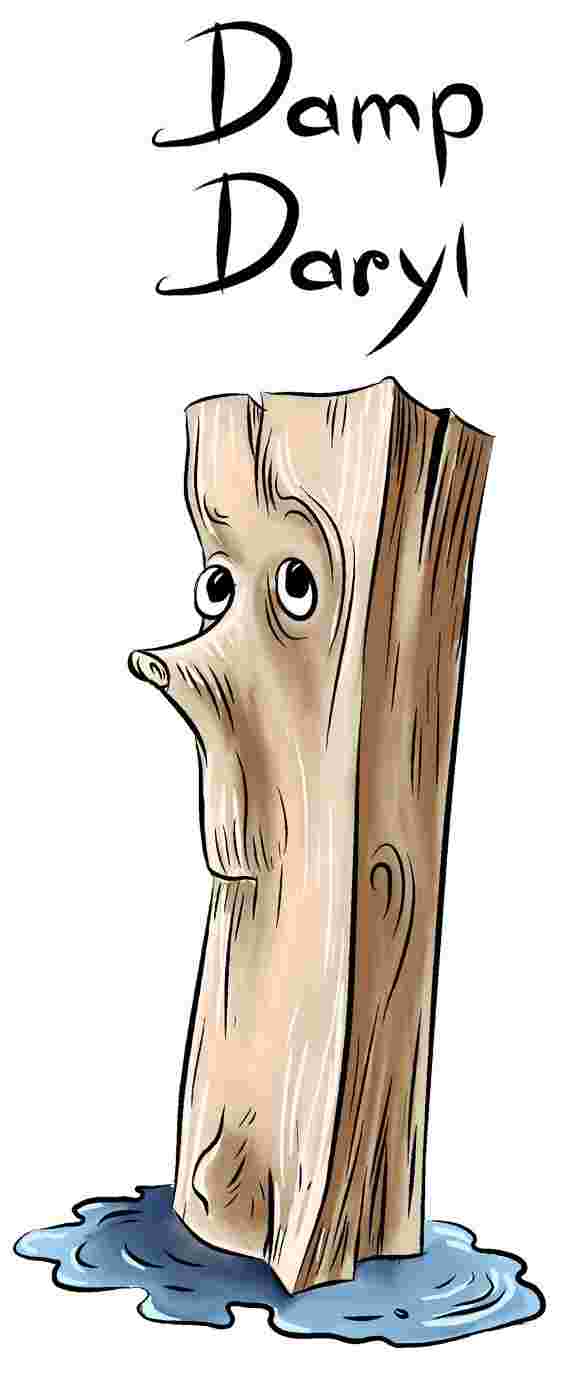 Introducing Damp Daryl - Part of the "Dirty Dozen" of bad firewood to avoid.